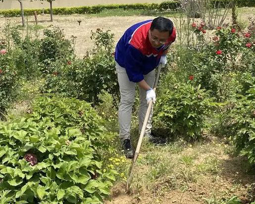 青島銳智黨支部開展“清除雜草 美化環(huán)境”主題黨日活動(dòng)